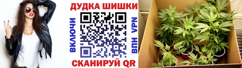 Магазин наркотиков Наволоки ГАШ  A PVP  Мефедрон  Каннабис 