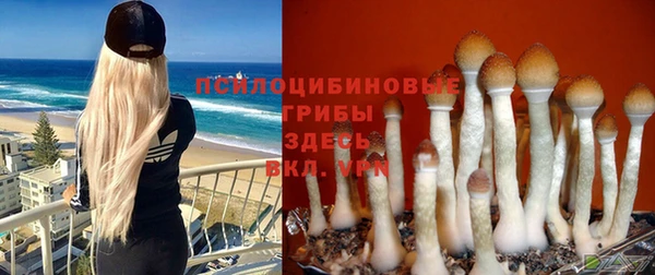 apvp Алексеевка
