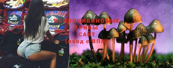 каннабис Алзамай