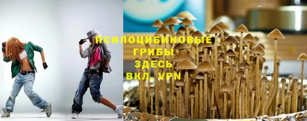 apvp Алексеевка